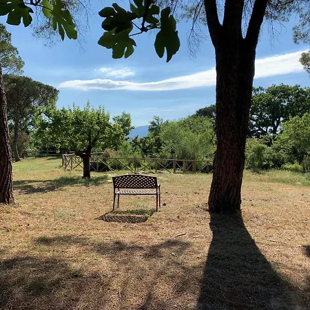 Casa vacanze Donkeys&roses La Casa Delle Querce *